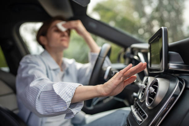 Best Central Air Repair  in Newport, SC